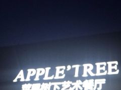 -苹果树下艺术餐厅(宋庄店)