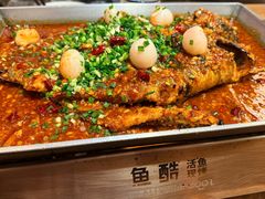 -鱼酷活鱼烤鱼(静安大融城店)