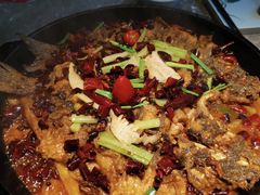 -老板恋上鱼(恒隆广场店)