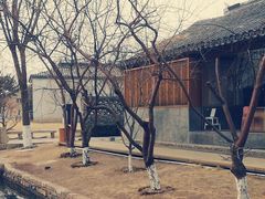 -春风习习