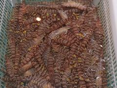 -梦都海鲜酒家(万达广场江桥店)