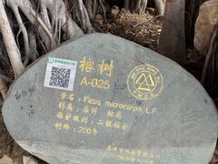 -开元盛世广场(新华北路店)