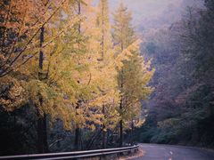 -达蓬山旅游度假区