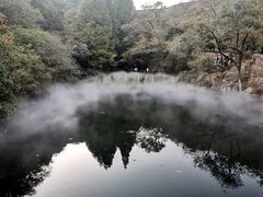 -国家植物园