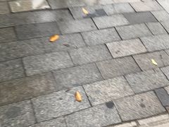 -同人紫荆文体中心·游泳馆(紫荆大厦店)