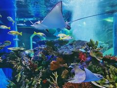 -成都浩海立方海洋公园