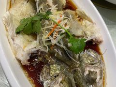 清蒸鲈鱼-双井轩(双井店)