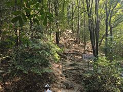 -火炉山森林公园