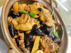 坑螺鸡煲-正宗鸡饭粤香酒家(朱村店)