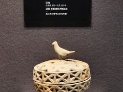 -盘龙城国家考古遗址公园