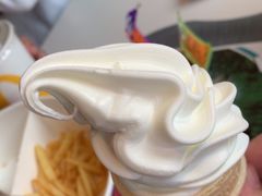 -麦当劳(从化从城大道店)