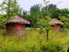 -溱湖国家湿地公园