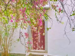 -深圳国际园林花卉博览园