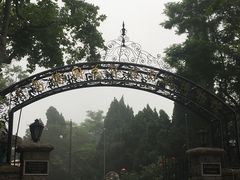 -青岛德国总督楼旧址博物馆