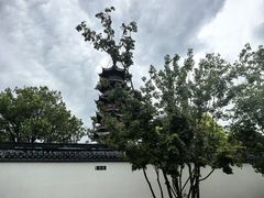 -龙华素斋(龙华路店)