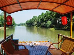 -合肥滨湖国家森林公园