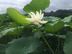 -古田会议纪念馆