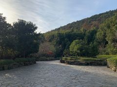 -九龙潭景区