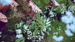 -青岛sunny喜铺婚礼策划(名汇国际店)