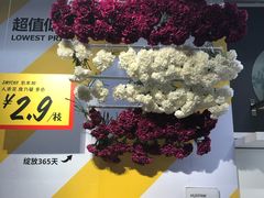 -宜家家居(西安未央商场店)