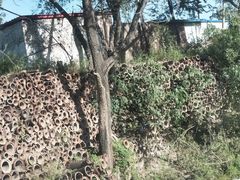 -定窑考古遗址公园