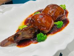 -丁老爷子苏香圆