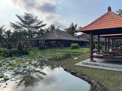 -Bebek Joni Restaurant