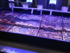 水产区-韩盛·盛江山自助料理(中街大悦城店)