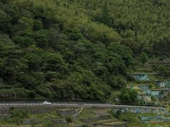 -四明山国家森林公园