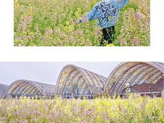 -中国天府农业博览园