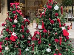 -植物学家的女儿(北马道巷店)