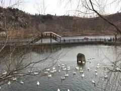 -沂蒙云瀑洞天景区