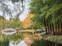 -上海共青森林公园