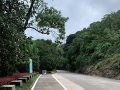 -广州市石门国家森林公园