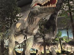 -湖南省地质博物馆