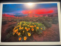 -罗红摄影艺术馆