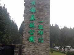 -黄海国家森林公园