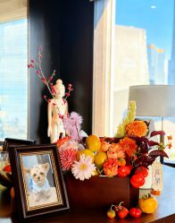 -茉莉智慧母婴护理中心(瑰丽店)