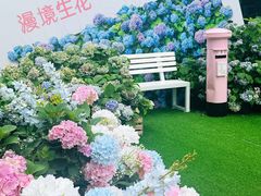 -HALO广场(梨园路店)