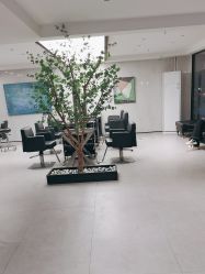 -付军剪艺JF ProSalon
