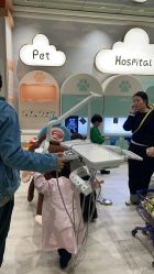 -奈尔宝·儿童乐园·亲子餐厅(星河湾店)