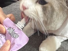 -酷狗靓猫宠物·洗护·美容·寄养(航北路店)