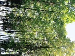 -雷波马湖风景区