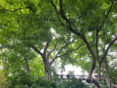 -幕燕滨江·燕子矶公园