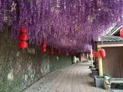 -观澜山水田园