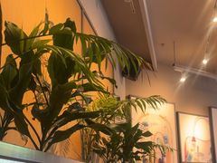 -Wagas沃歌斯(汇智店)