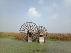 -宁波杭州湾国家湿地公园