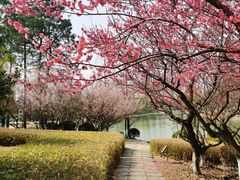 -白塘生态植物园