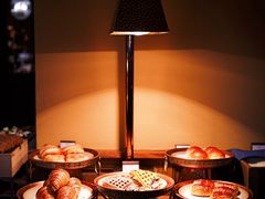 -松赞拉萨林卡酒店