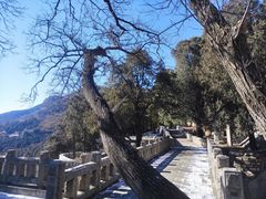 -泰山风景名胜区